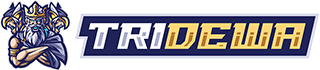 tridewa logo